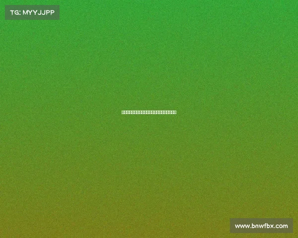 足球俱乐部转会资金投入计划制定与策略优化分析