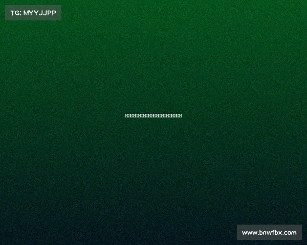 足球俱乐部转会资金投入计划制定与策略优化分析